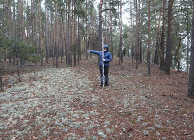 Новый средневековый могильник "Чебоксарский городок"